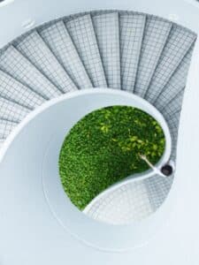 sustainable education, sustainable future, sustainable Schools, sustainable pathways
