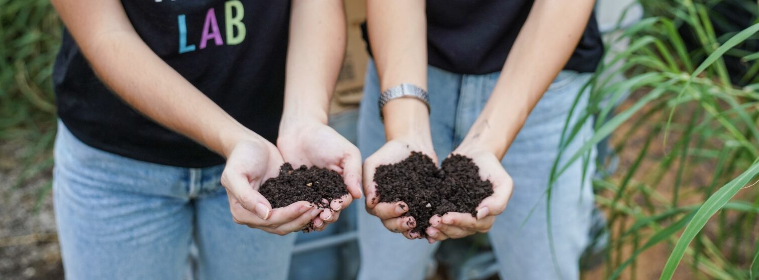 The Waste Lab and Sustainable School Food