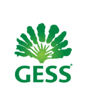 German European School Singapore (GESS)