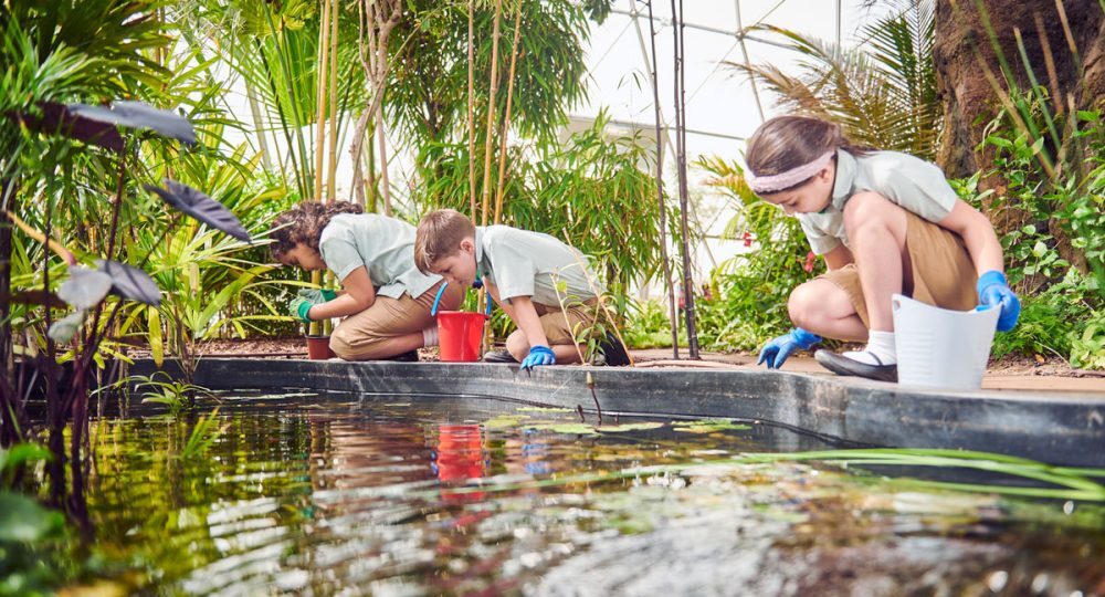 Metanoia and Sustainable School Campuses